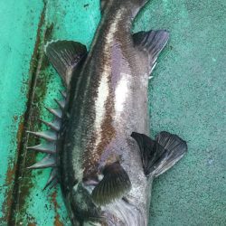 モンロー号 釣果