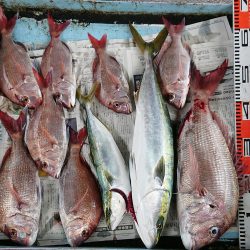 明神釣船 釣果