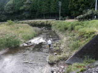 大井川（大井川(非)漁業協同組合） 釣果