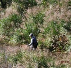 大井川(大井川(非)漁業協同組合) 釣果