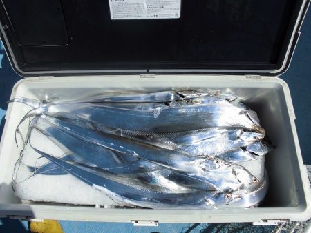 十八宝洋丸 釣果