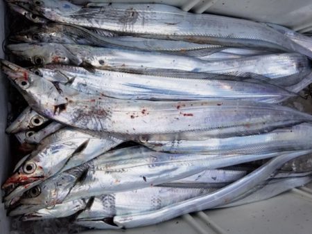 オーフリー 釣果