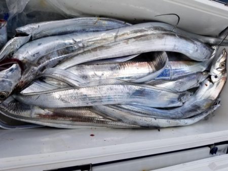 オーフリー 釣果