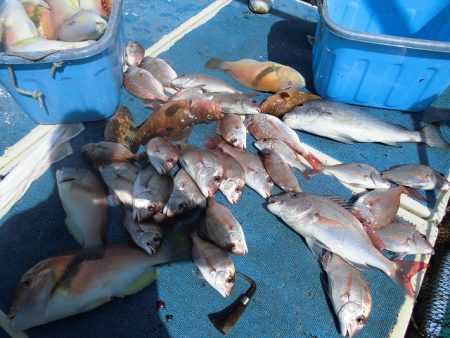 十八宝洋丸 釣果