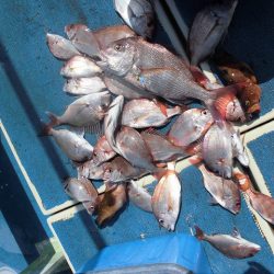 十八宝洋丸 釣果