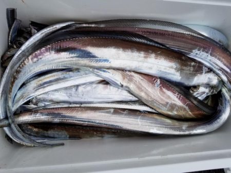 オーフリー 釣果