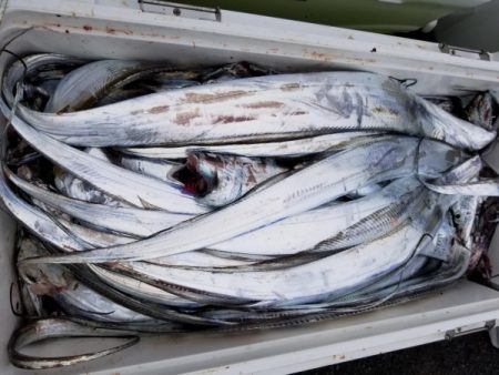 オーフリー 釣果