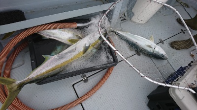 海龍丸（福岡） 釣果