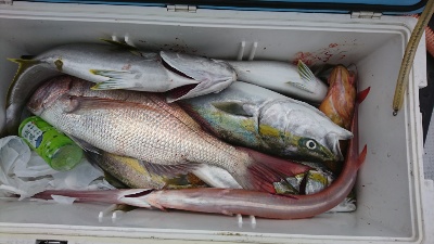 海龍丸（福岡） 釣果