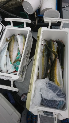 海龍丸（福岡） 釣果