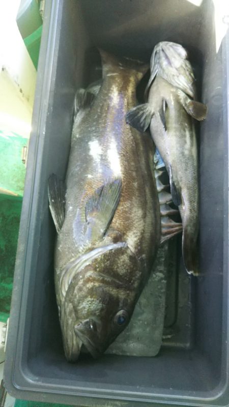 モンロー号 釣果