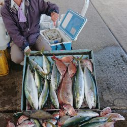 明神釣船 釣果