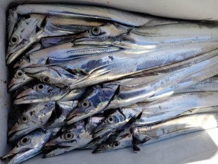 オーフリー 釣果