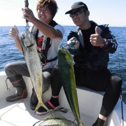 ルアー船マヒマヒ 釣果