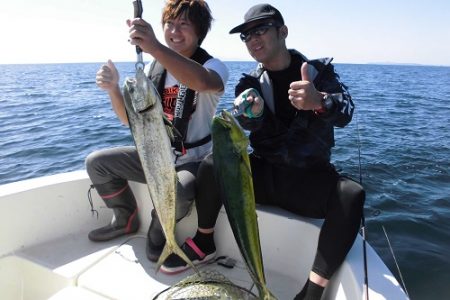 ルアー船マヒマヒ 釣果