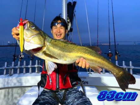 オーシャンマスター 釣果