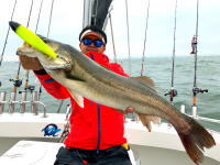 オーシャンマスター 釣果