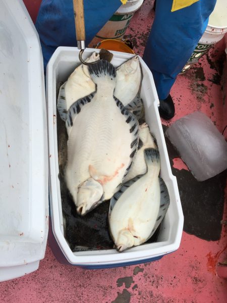 第八平成丸 釣果