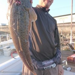 オーフリー 釣果