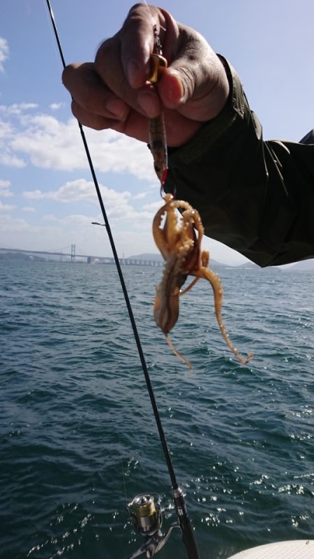 オーフリー 釣果