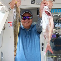 松本釣船２ 釣果