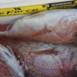 オーフリー 釣果