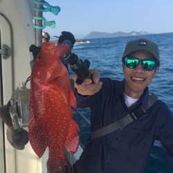 マタウマリンサービス 釣果