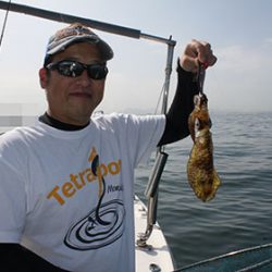 松本釣船２ 釣果