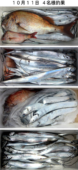 来温丸（らいおんまる） 釣果