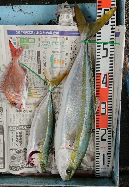 明神釣船 釣果
