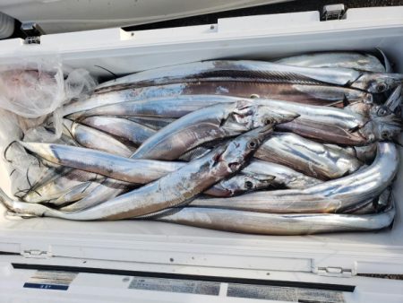 オーフリー 釣果