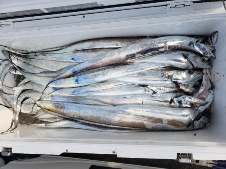 オーフリー 釣果