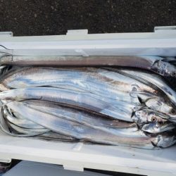 オーフリー 釣果