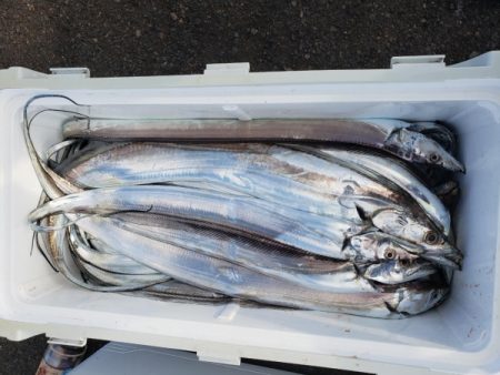 オーフリー 釣果