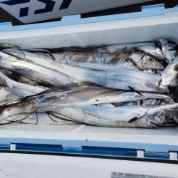 オーフリー 釣果