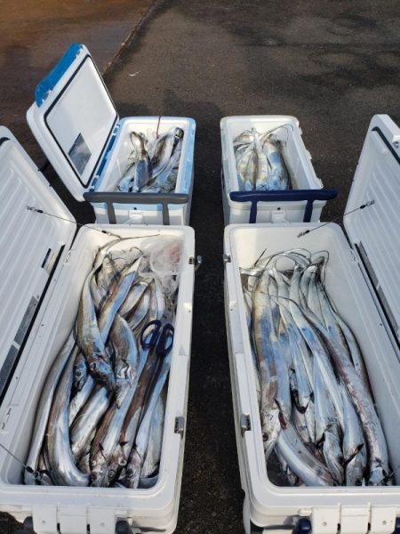 オーフリー 釣果