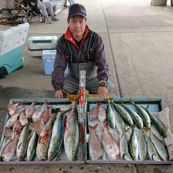 明神釣船 釣果