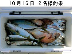 来温丸(らいおんまる) 釣果