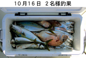 来温丸（らいおんまる） 釣果