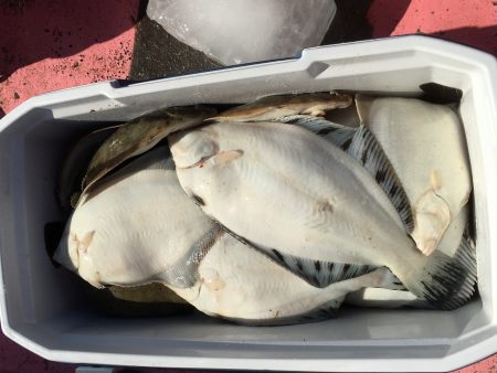 第八平成丸 釣果