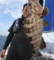 海龍丸（福岡） 釣果