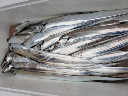 オーフリー 釣果