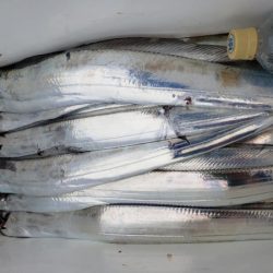 オーフリー 釣果