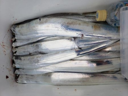 オーフリー 釣果