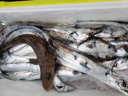 オーフリー 釣果