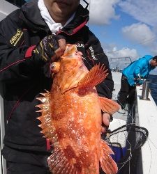 海龍丸(福岡) 釣果