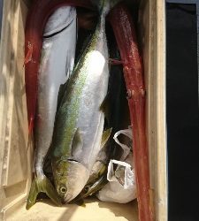 海龍丸(福岡) 釣果