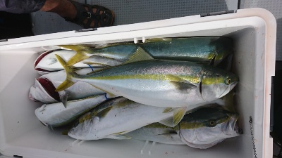 海龍丸（福岡） 釣果