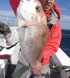 海龍丸（福岡） 釣果