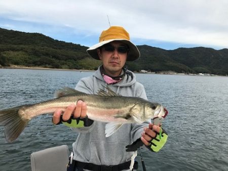 ルアー船マヒマヒ 釣果